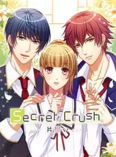 Secret Crush: Unrequited Love