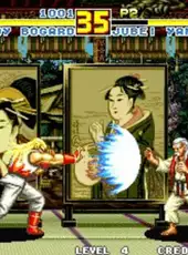 Fatal Fury Special