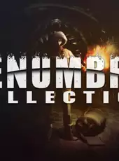 The Penumbra Collection