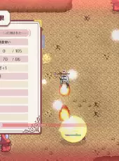 Lys and Ruka's Magical Bag