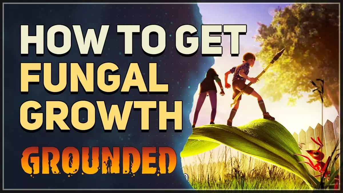 How to get Fungal Growth Grounded Hiijo