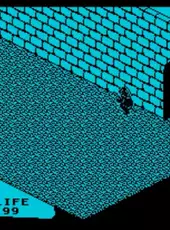 Fairlight