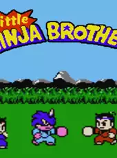 Little Ninja Brothers
