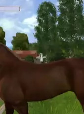 Horse Life Adventures