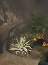 Rescue Ops: Wildfire
