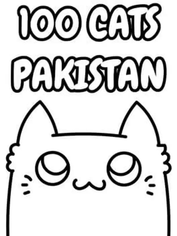 100 Cats Pakistan