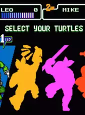 Teenage Mutant Ninja Turtles: The HyperStone Heist