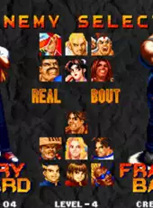 Real Bout Fatal Fury