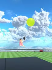 Eleven Pickleball