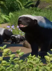 Planet Zoo: Asia Animal Pack