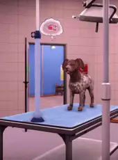 Animal Shelter 2: Hunting Dogs Pack