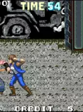 Double Dragon Advance