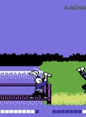 Samurai Warrior: The Battles of Usagi Yojimbo