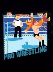 Pro Wrestling