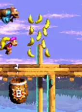 Donkey Kong Country 3