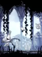 Hollow Knight: Voidheart Edition