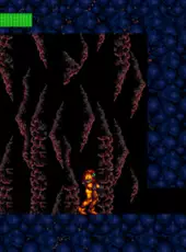 Metroid: Ripped Worlds