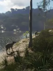 theHunter: Call of the Wild - Emerald Coast Australia