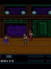 Double Dragon III: The Sacred Stones