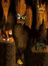 Donkey Kong Country