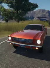 Truck Driver: Hidden Places & Damage System
