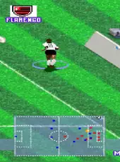 Futebol Brasileiro '96