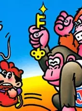 Donkey Kong Jr.-e