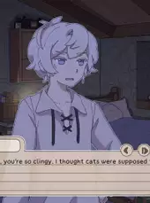 My Confounding Cat is Criminally Cute!