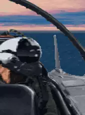 Fleet Defender: The F-14 Tomcat Simulation