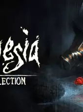 Amnesia: Collection