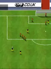 Sensible World of Soccer