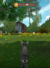 Cat Simulator 2