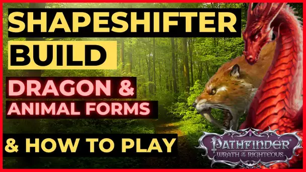PATHFINDER: WOTR - SHAPESHIFTER Druid Build Guide - DRAGON & Animal Forms - Unfair Viable