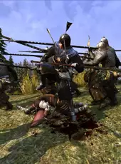 Tiger Knight: Empire War