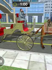 Passenger Camel Taxi Driving