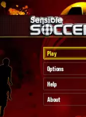 Sensible Soccer Skills