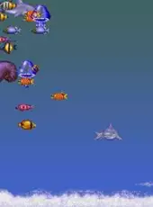 Ecco the Dolphin