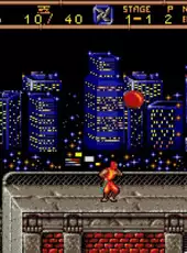 Ninja Gaiden II: The Dark Sword of Chaos