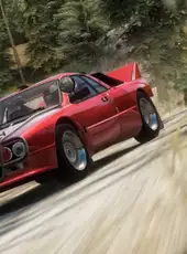 Forza Horizon Rally