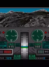 Flight Path 737