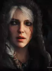 The Witcher IV