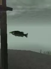 Reel Fishing: The Great Outdoors