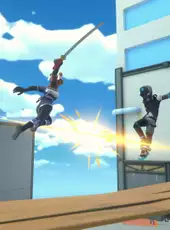 Ninja Party