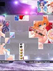 Taimanin Collection: Battle Arena