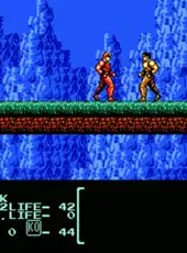 Flying Warriors