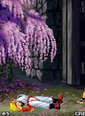 Real Bout Fatal Fury 2: The Newcomers