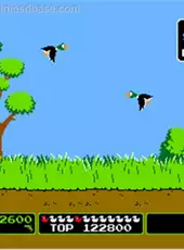 Duck Hunt