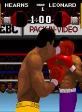 Boxing Legends of the Ring