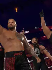 WWE 2K25