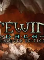 Icewind Dale: Enhanced Edition